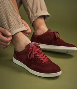 Sale BASKET ARTHUR ACAJOU Homme Baskets