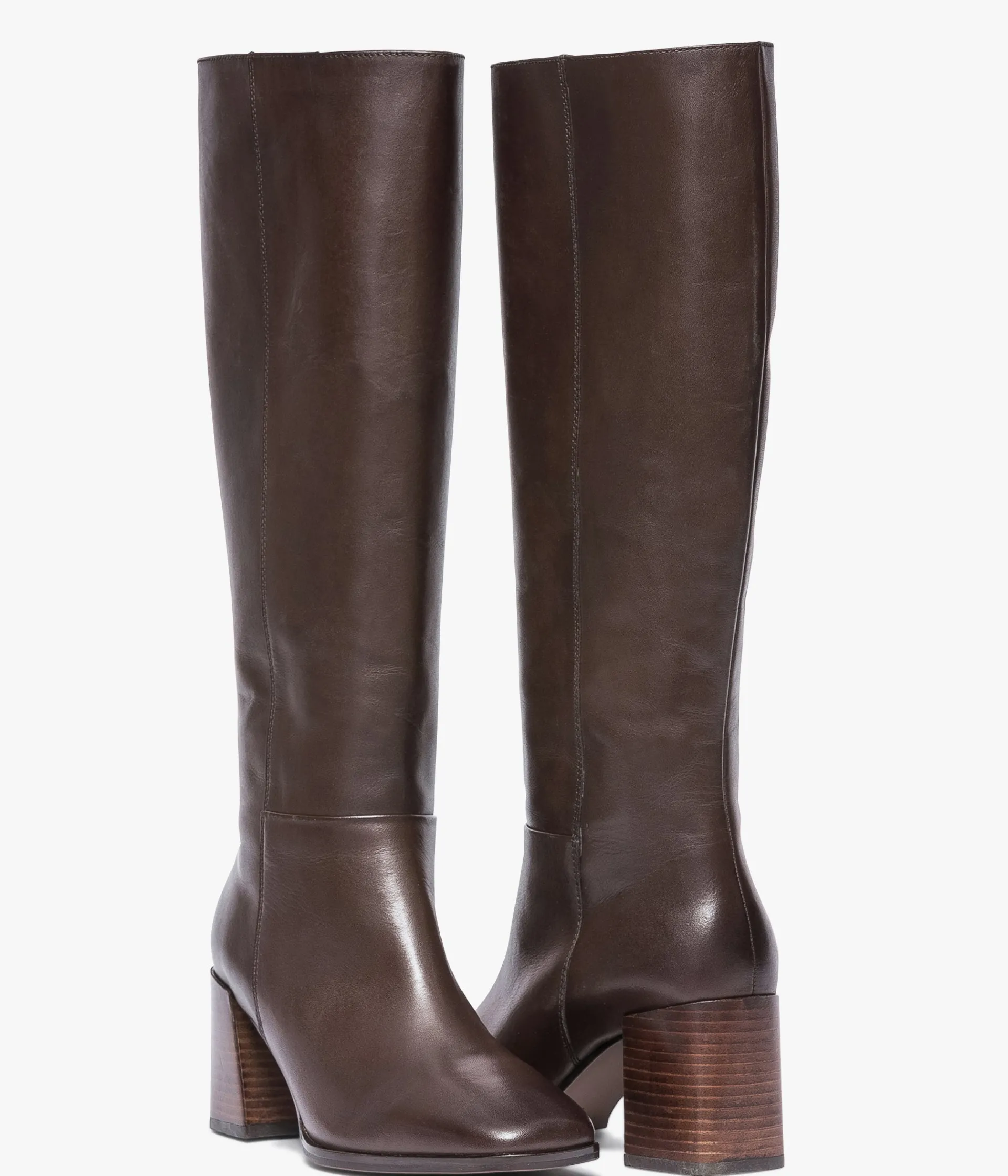 Discount BOTTE FOLIE Femme Bottes